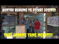Banyak Burung yg Dicari Disini!! Tapi jarang yg ngerti? 