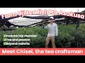 Download Lagu From Kyoto Uji tea fields to Asakusa! Meet Chisei, the tea craftsman behind #matchatrip #japanese