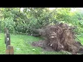 05-27-2021 Lancaster PA - Multiple Trees Damaged After a Strong Storms at Longs Park