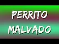 DAMAS GRATIS - PERRITO MALVADO Ft L GANTE & MARITA (Letra\Lyrics)