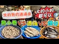 Download Lagu 基隆崁仔頂～大的小的都可以～生的熟的通通來～透抽、熟小卷、煙仔（114/6/28)