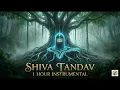 Shiva Tandav Instrumental | Cosmic Rhythm of Mahadev 🔱 Deep Meditation Music