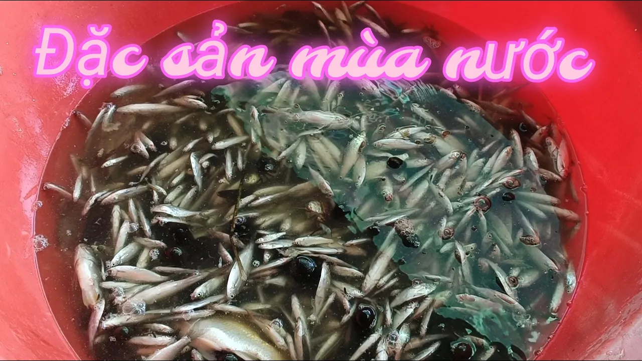 Đặc sản mùa nước nổi 17