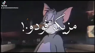 فلانه لايك يور فوتو   دندنها