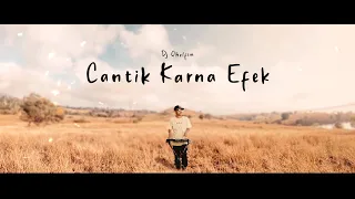 cantik karna efek dj qhelfin official video liric 2022 