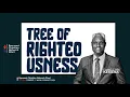Download Lagu BIBLE STUDY || TREE OF RIGHTEOUSNESS || EVANG. KESIENA ESIRI