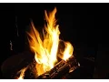 Stokes Forest Camping Guide - Shotwell Shelters