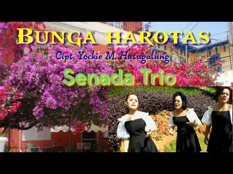 Download MP3 Gas lagi bossku.. bunga harotas by senada trio. panarik nai pasudahon.. @Parsaoransigiro