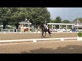 Cesar Parra on Mollegardens Fashion - 6 yr old National Champion