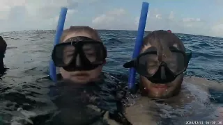                                             دندنها