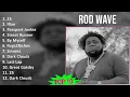 Rod Wave 2025 MIX Hits Playlist