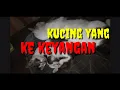 Lagu Kucing yang kekeyangan