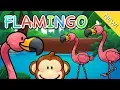 Download Lagu Lagu Anak Indonesia | Flamingo