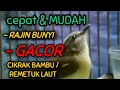 Download Lagu Cara membuat burung \