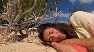 Ups and Downs of this SAILING LIFESTYLE [E327]