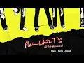 Plain White T's - Hey There Delilah (Official Audio)