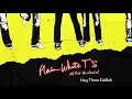 Download Lagu Plain White T's - Hey There Delilah (Official Audio)