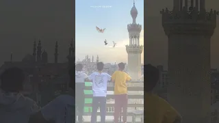 تتر محمد رسول الانسانية ياسمين الخيام كمال تلطويل عمر خيرت احمد شفيق كامل  تتر محمد رسول الانسانية ياسمين الخيام كمال تلطويل عمر خيرت احمد شفيق كامل