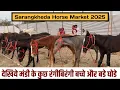देखिये बच्चे और मिक्स घोडो की दावन | सारंगखेडा घोडे बाजार | Sarangkheda Horse Market 2025 