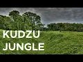 Download Lagu Eating kudzu, the vine that ate the South | Sci NC