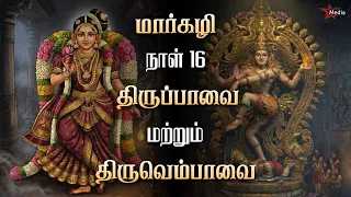 16 u0026 star media