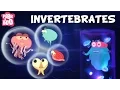 Invertebrates The Dr Binocs Show Learn s For Kids