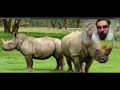 Nashorn got deprecated What am I gonna do