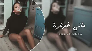 تونسي استكنان   ماني غدارة   مطلوب اكثر شي دندنها