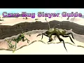 Cave Bug Slayer Task Guide