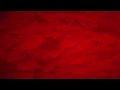 Vou Zuar e Menos é Mais - Eu Me Apaixonei Pela Pessoa Errada / Tempo de Aprender / Fã de carteirinha