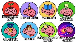 Every Level of Intelligence Explained In Detail