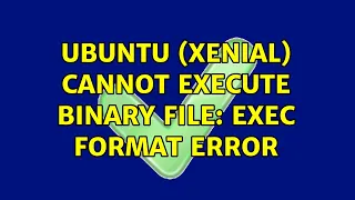 Ubuntu xenial cannot execute binary file Exec format error