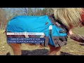 Derby Originals Nordic-Tough Mini Horse and Pony Blankets