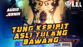 Download AYO KITA GOYANG TUNG KERIPIT ASLU TULANG BAWANG || BUJANG ORGEN LAMPUNG 2022 MP3