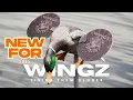 Download Lagu WINGZ - Strategi Umpan Sayap Berputar