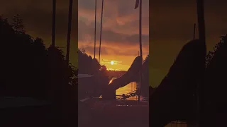 Wake up early #boats #sunrise #sunset #coffee #motivation