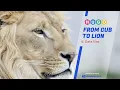 Hugo Beginner Tutorial Hugo Data Files