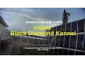 Undercover with CAPS Inside Black Diamond Kennel - Iowa Breeding Facility