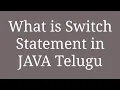 Part 10 Switch Statements in Java Telugu Java Tutorials in Telugu