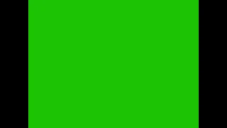 Nicktoons Screen Bug Endboard Green Screen 2009-2014