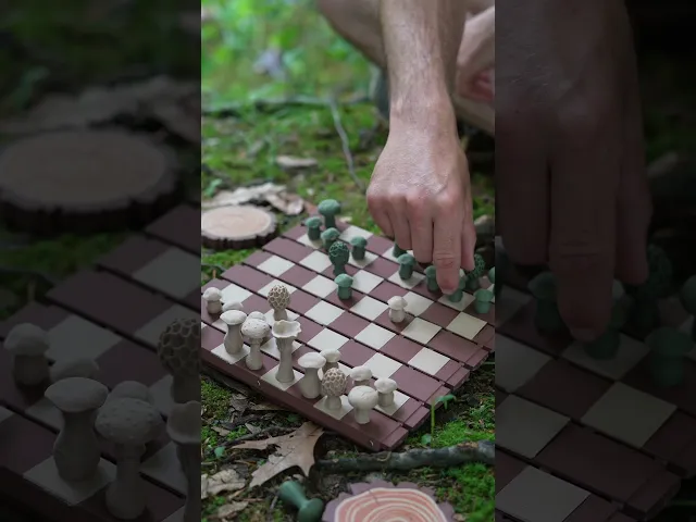 Forest Chess Set - Log and Mushroom Chess Board - Checkers video thumbnail
