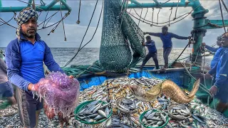 Unbelievable Catch! Giant Jellyfish, Eel, and Sea Snake in Net | Day -02 Deep sea fishing |