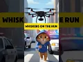 Download Lagu Whiskers on the Run #amazing #cat #animals #funnycats