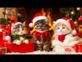 Lagu Christmas Kittens!🎄Their First Christmas is Pure Magic! 😻