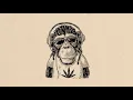 Download Lagu 📿FREE Reggae Instrumental-Boombap/Reggae type beat- Vibes📿