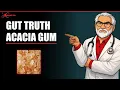 Acacia Gum The Secret Ingredient You Never Knew About