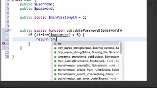 Activity 1 Part 5a - Static properties and static methods in PHP functions