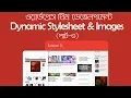 3 Covert Dynamic Stylesheet - Script