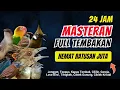 Download Lagu Masteran Kombinasi Tembakan Kasar Untuk Semua Jenis Burung Lomba