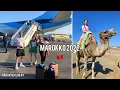 Download Lagu VLOG 01|| Vakantie Marokko